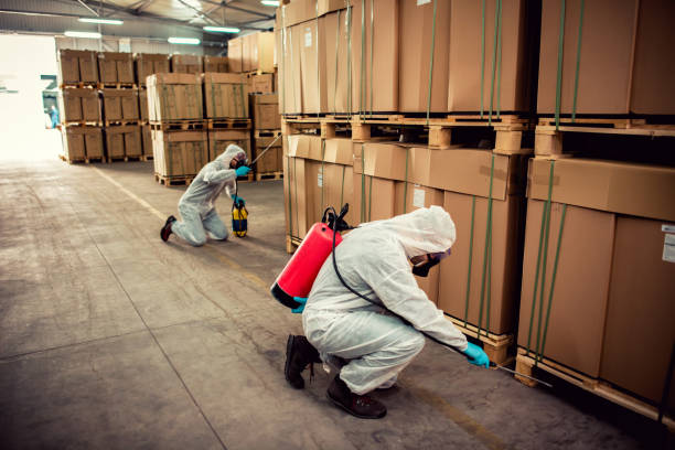 Best Flea Control Services  in Princeton Meadows, NJ