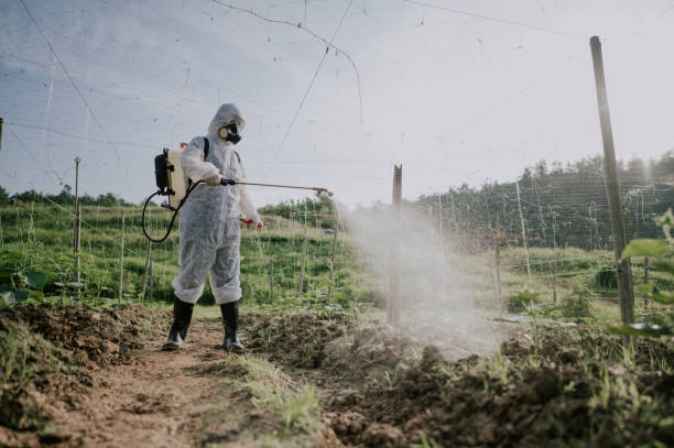 Best Pest Control Treatment  in Princeton Meadows, NJ