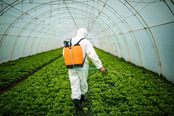  Princeton Meadows, NJ Pest Control Pros