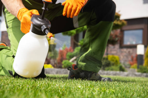 Best Ant Control Services  in Princeton Meadows, NJ
