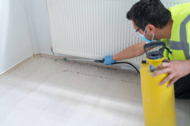 Best Best Pest Control Companies  in Princeton Meadows, NJ