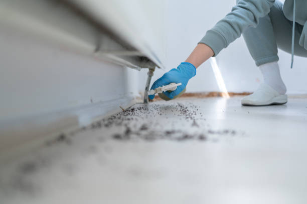 Best Pest Control Near Me  in Princeton Meadows, NJ